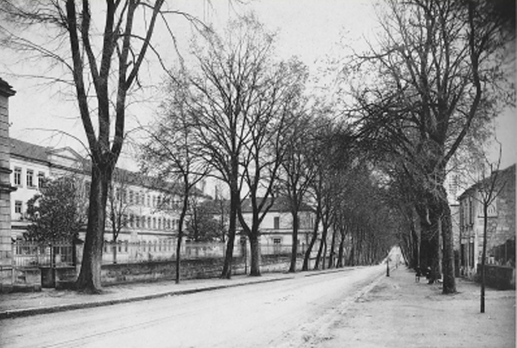 La route de Bordeaux