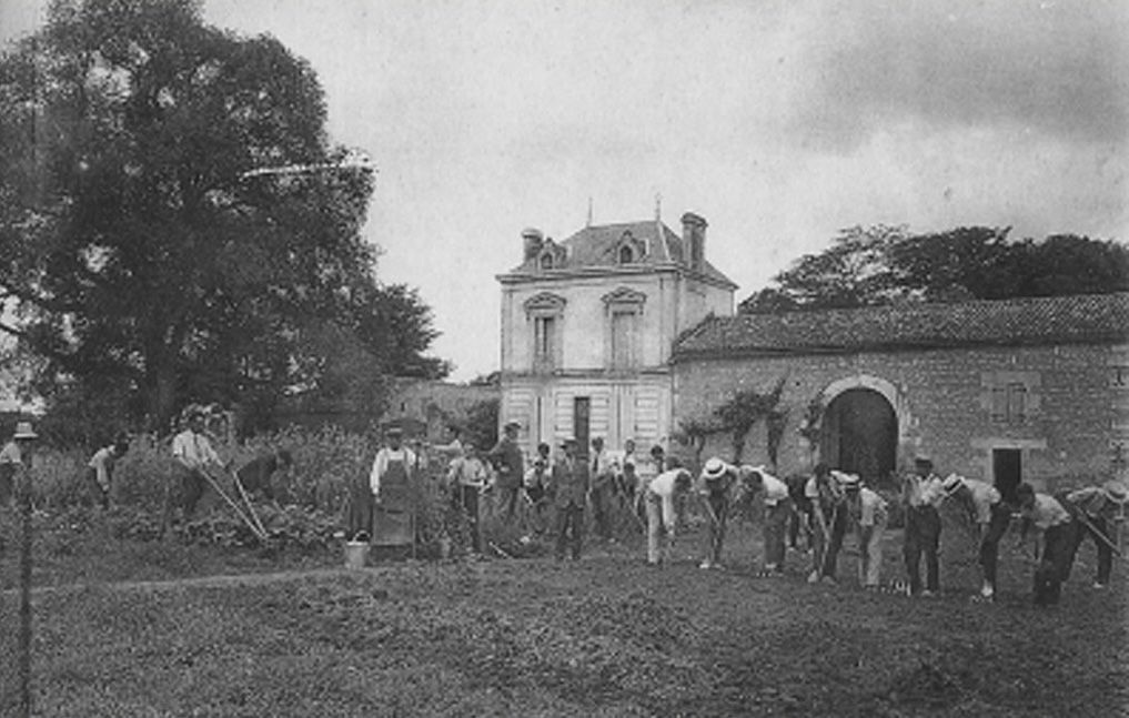 Les travaux agricoles